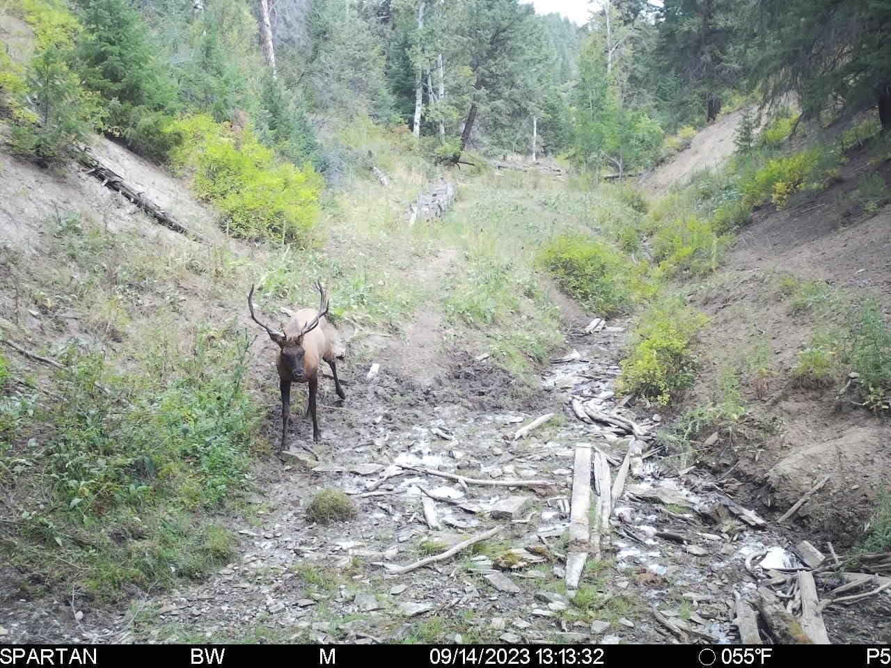 TBD County Road 249, Rifle, CO 81650 | LandWatch