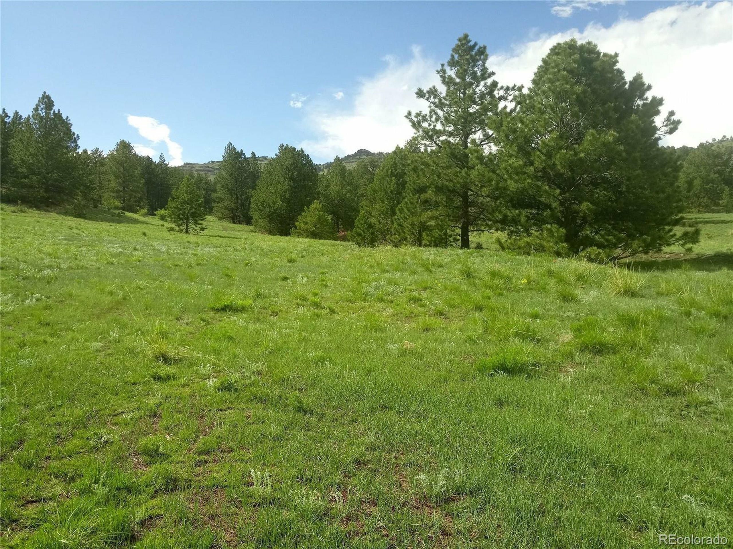 Guffey, Colorado 80820, Guffey, CO 80820 | LandWatch