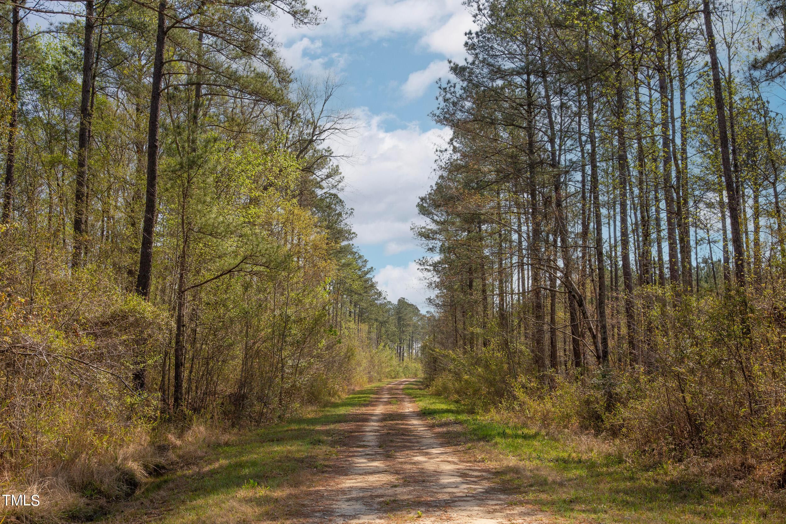North Carolina 903, Greenville, NC 27834 | LandWatch