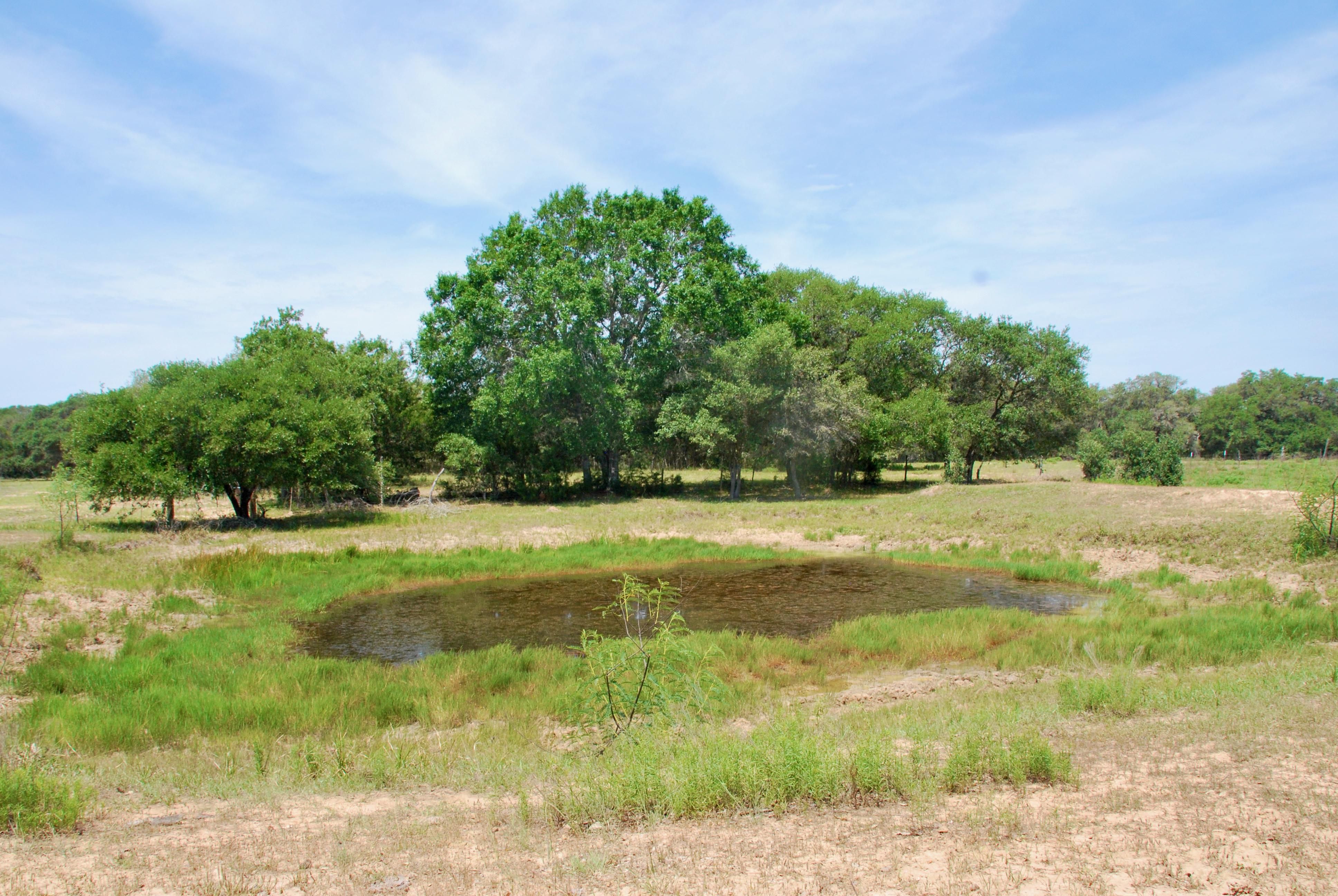 29.04 acres in Hallettsville, TX, 77964 | LandWatch