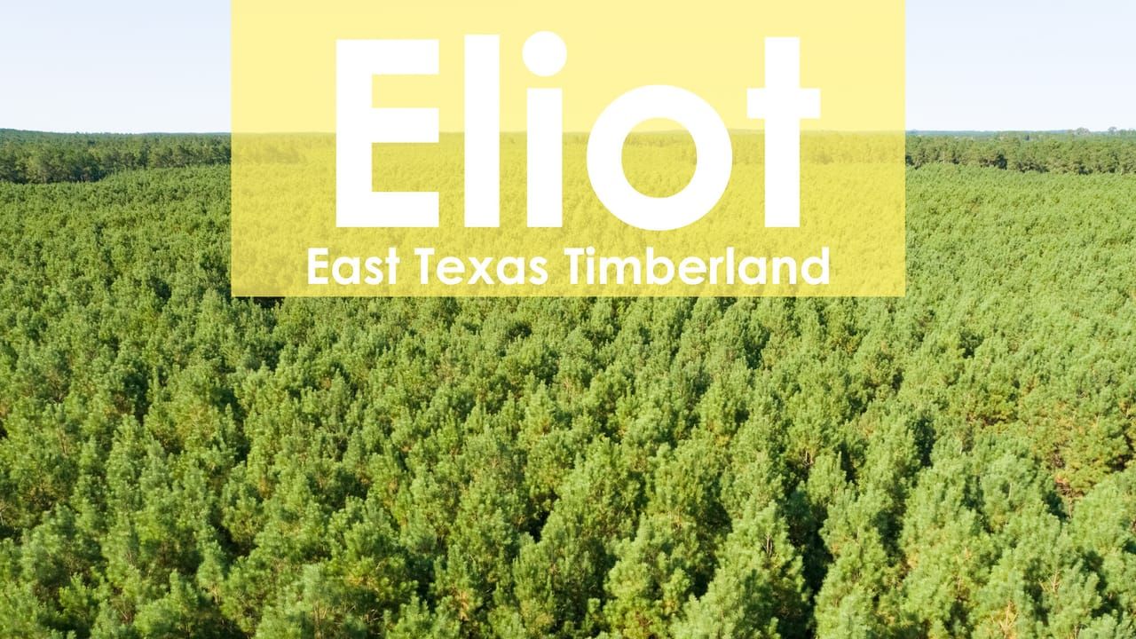 Easement Road off FM 355, Groveton, TX 75845 | LandWatch