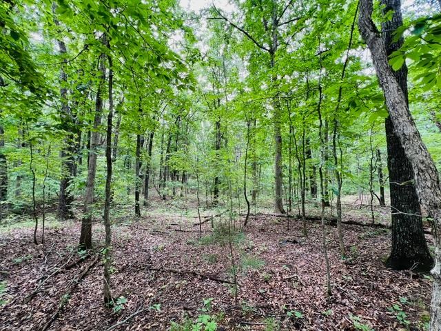 000 Boiling Springs Road, Licking, MO 65542 | MLS: 60295674 | LandWatch