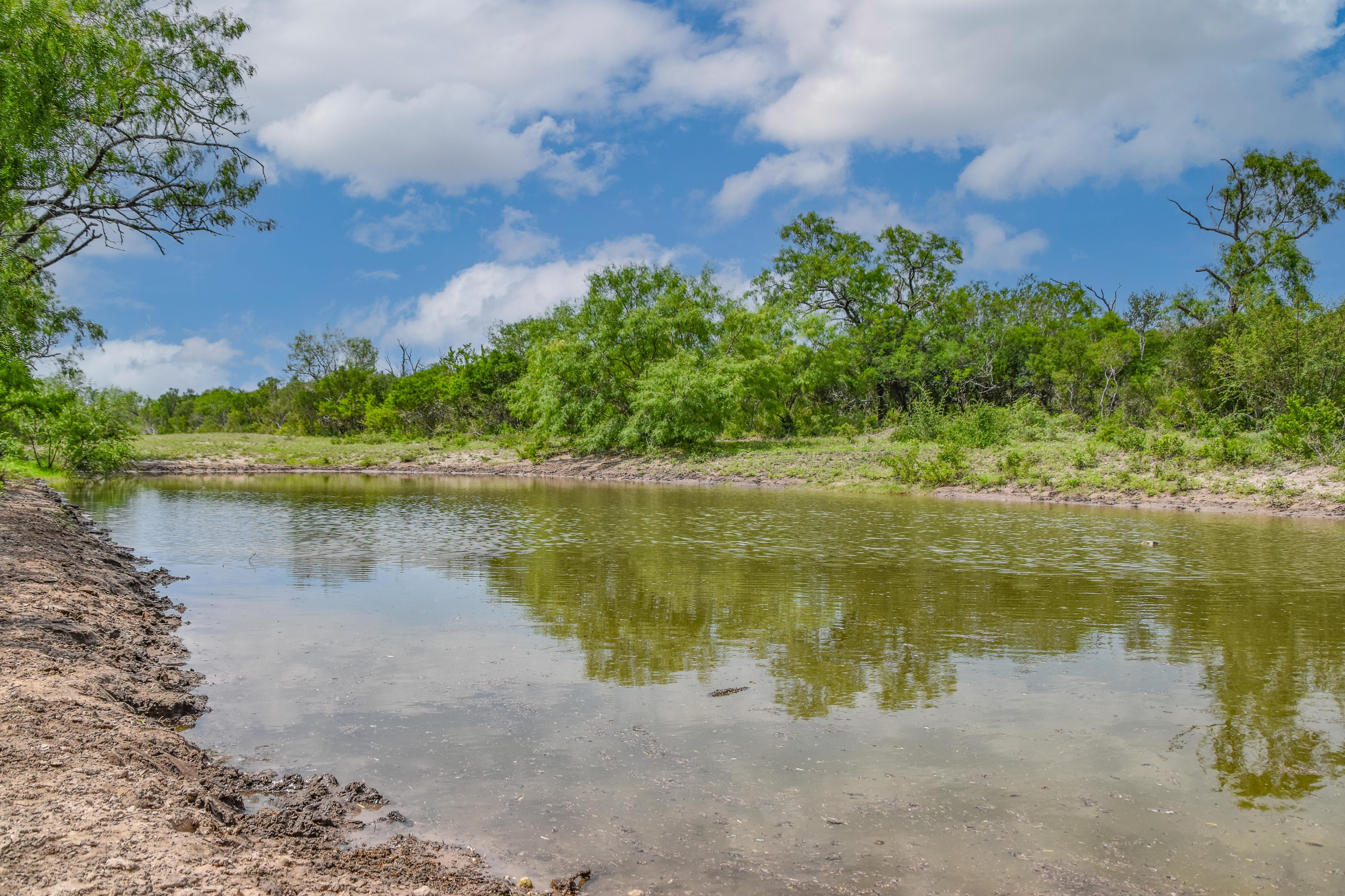 100 acres in Alice, TX, 78332 | LandWatch