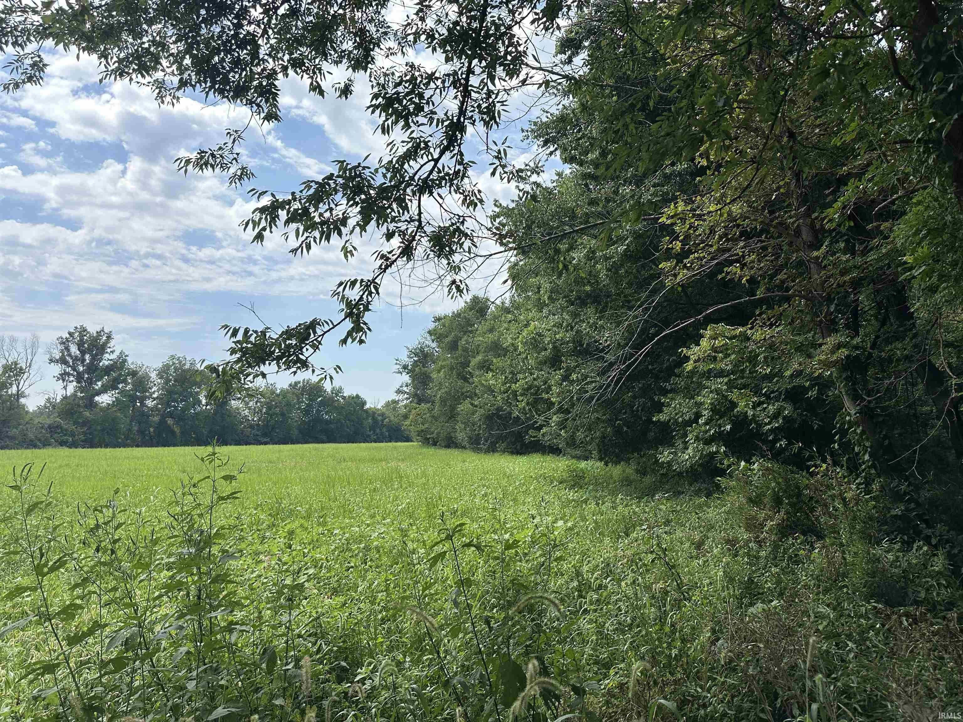 TBD State Road 161, Rockport, IN 47635 | MLS: 202533057 | LandWatch