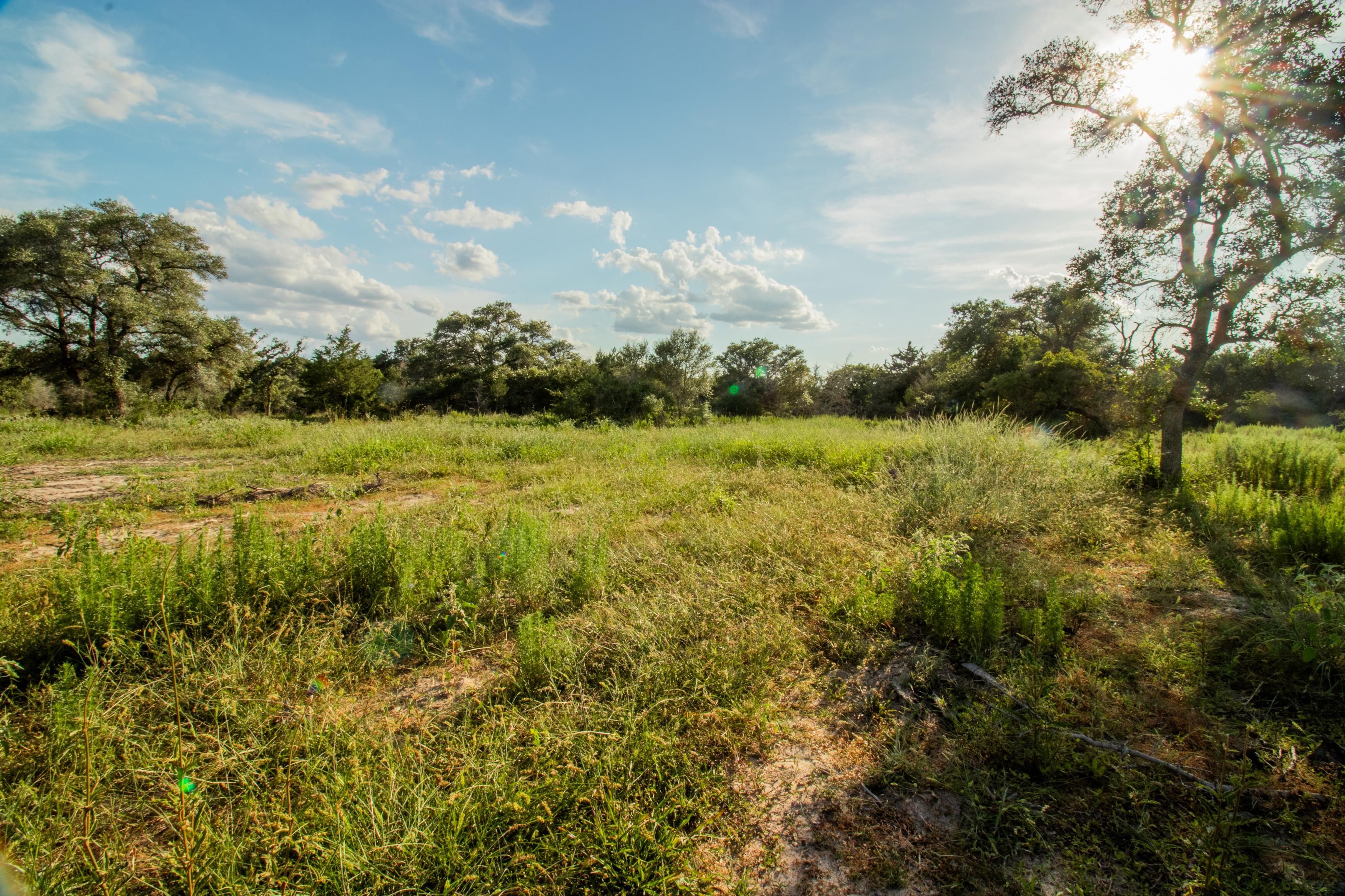 25.01 acres in Hallettsville, TX, 77964 | LandWatch