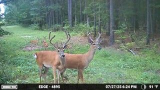 6935 US-175, Jacksonville, TX 75766 | LandWatch
