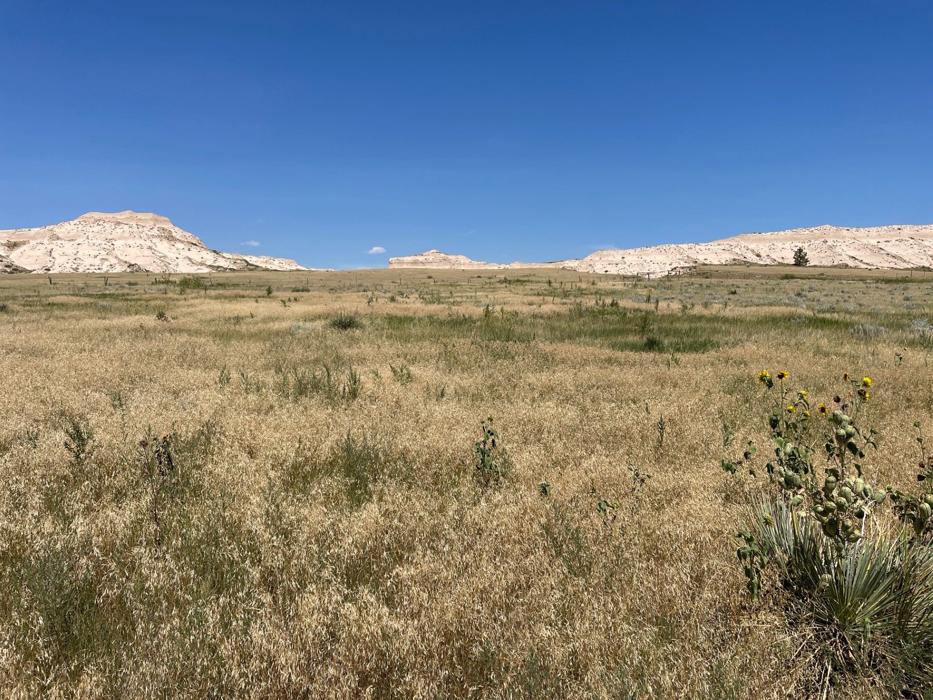 Scottsbluff, NE 69361, Scottsbluff, NE 69361 | LandWatch