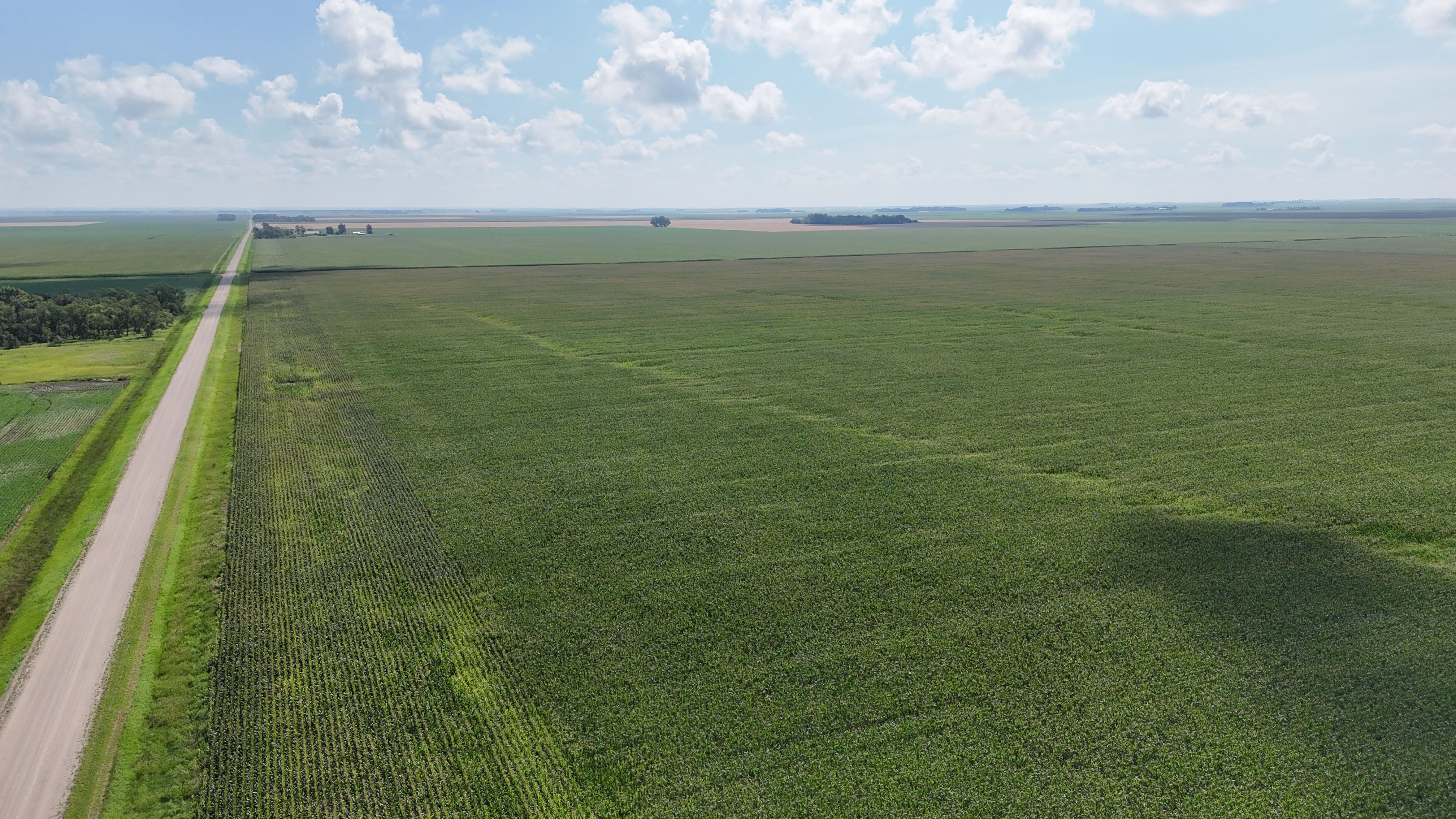 NW¼ 9-134-47, Kent, MN 56553 | LandWatch
