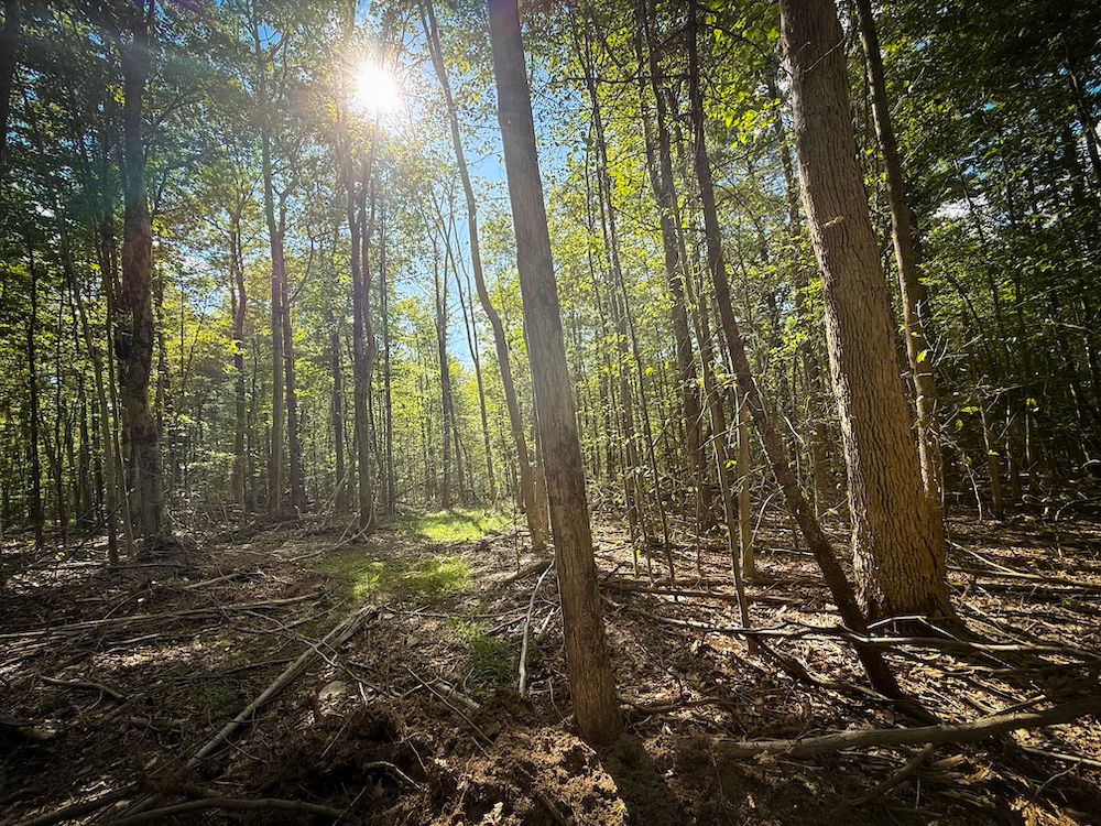 Hollister Rd, Dryden, NY 13068 MLS: R1636266 LandWatch