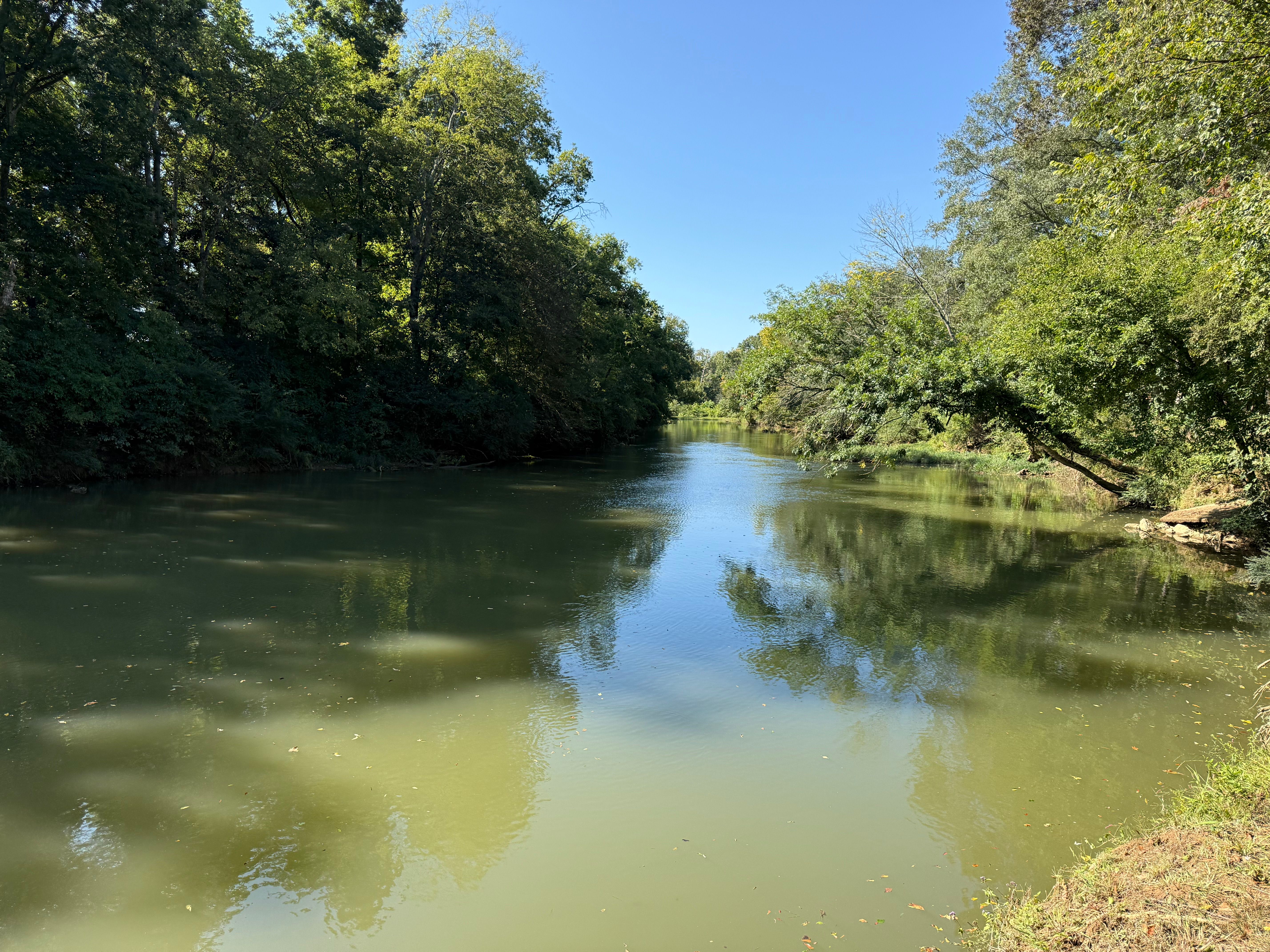 7278 AL-68, Gaylesville, AL 35973 | LandWatch