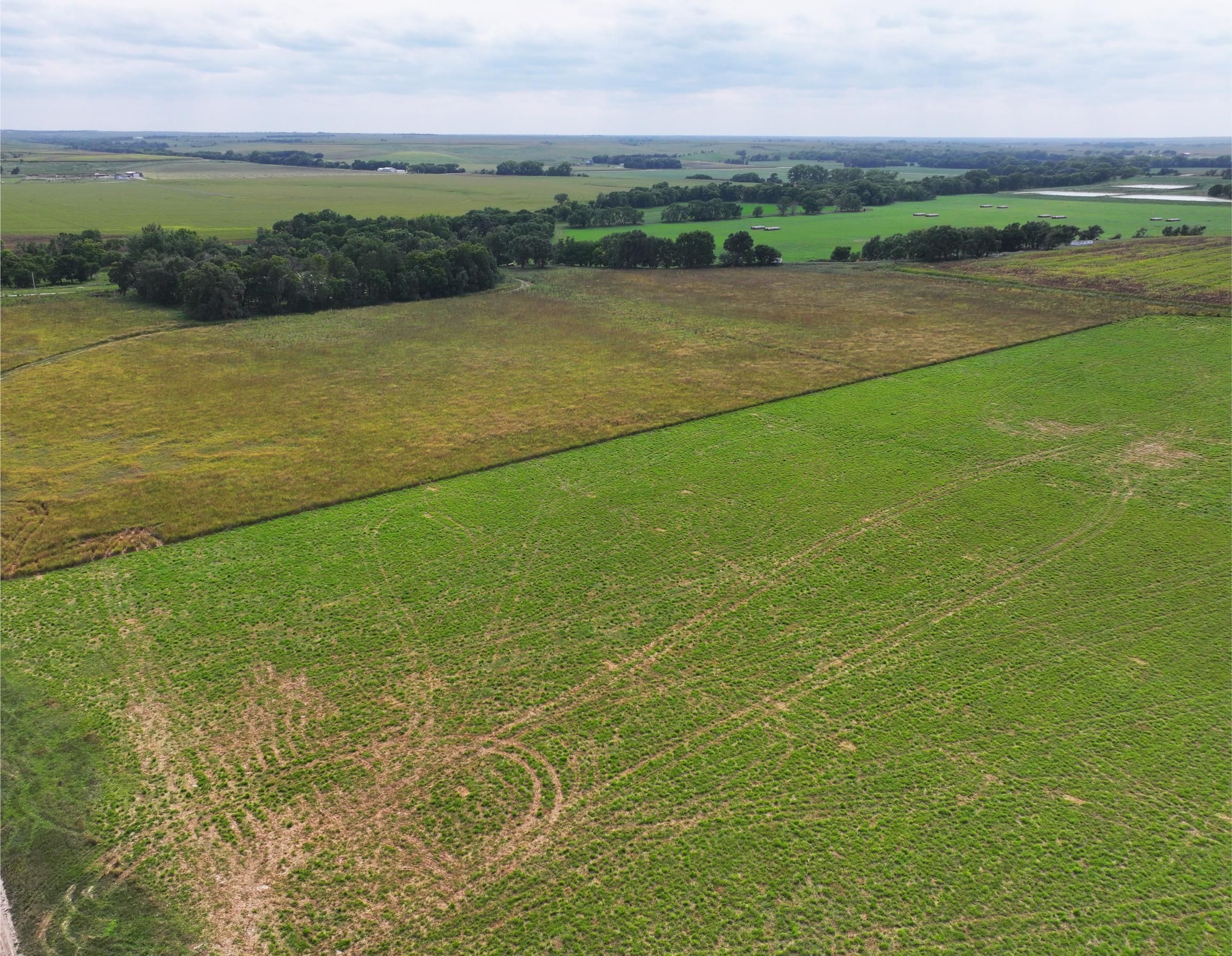 Stamford, NE 68977, Stamford, NE 68977 | LandWatch