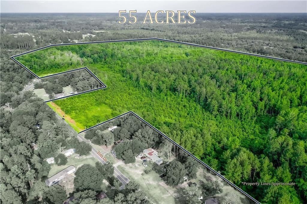 Land For Sale Blackshear Ga