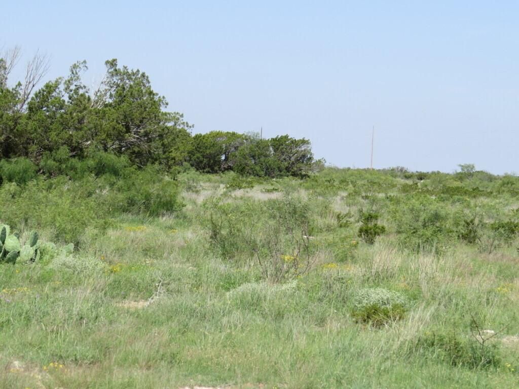 134.46 acres in Sheffield, TX, 79781 | LandWatch