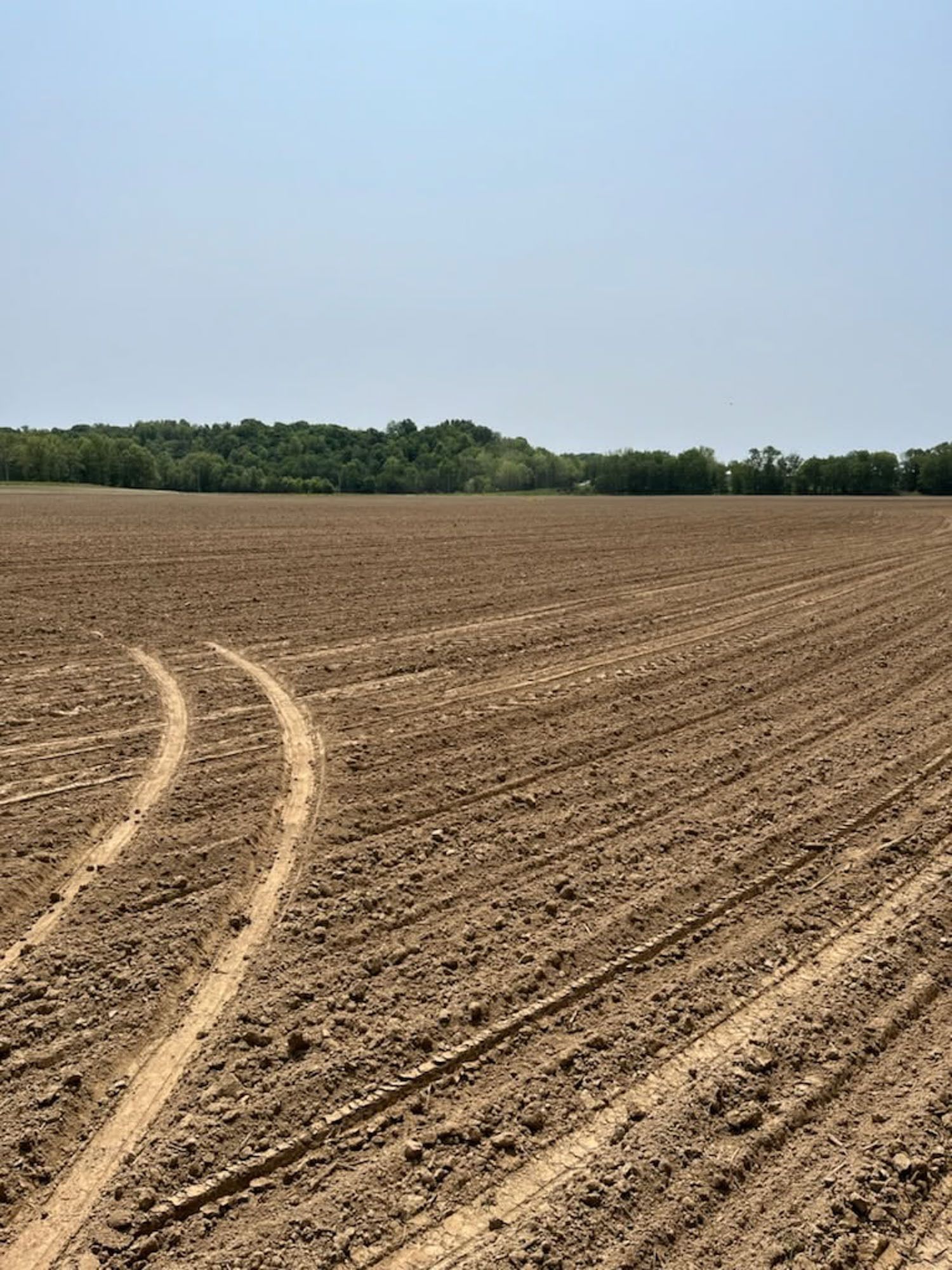 69.05 acres in Freedom, IN, 47431 | LandWatch