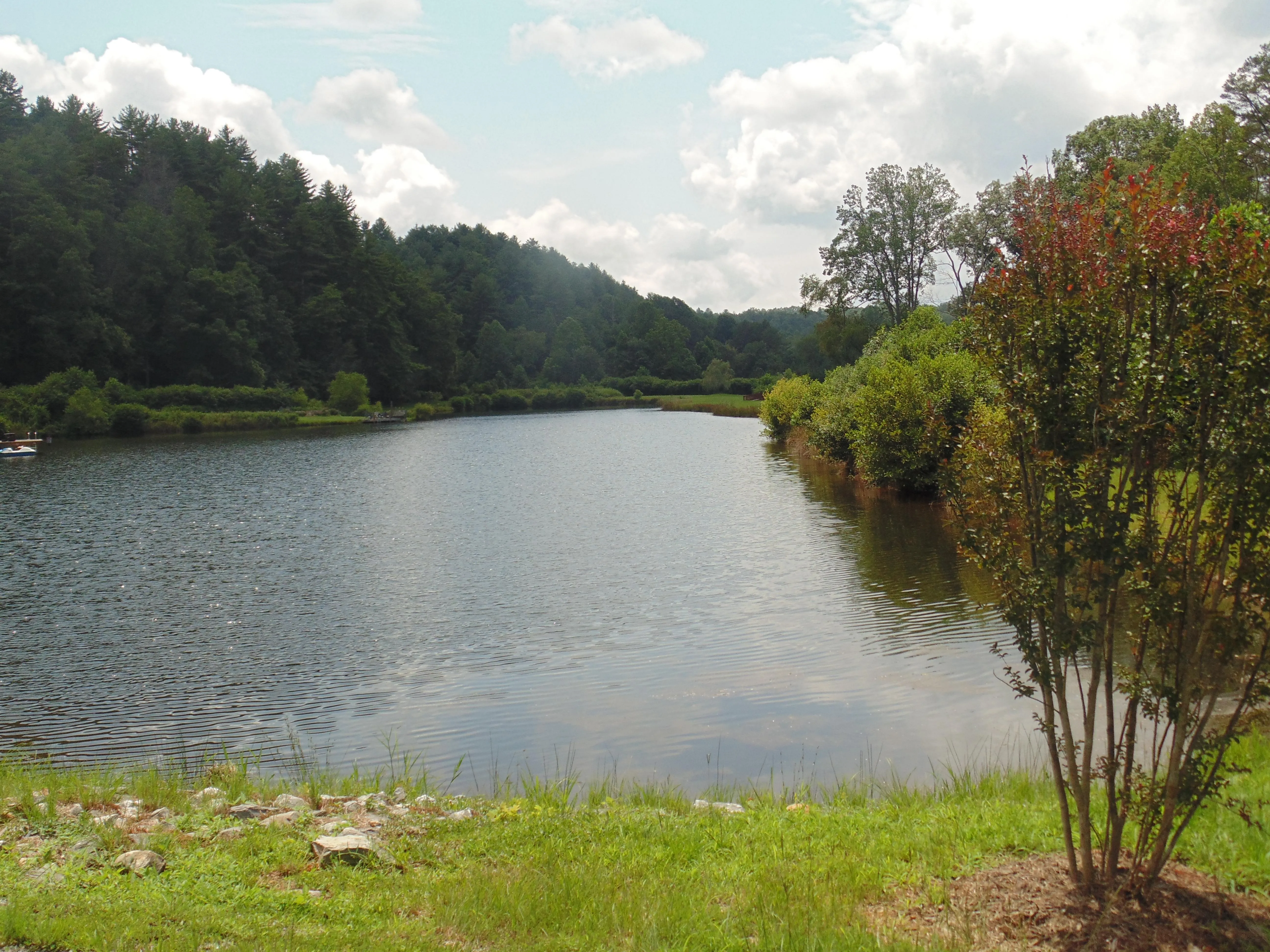 Blue Ridge Mountains Region, GA Owner Financing Land for Sale 126 Listings LandWatch