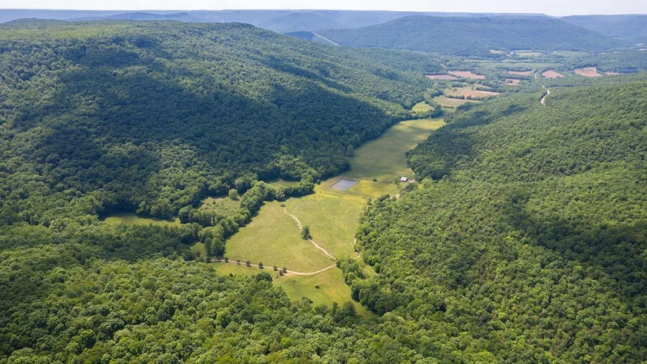 Jackson County, AL Land for Sale 179 Listings LandWatch