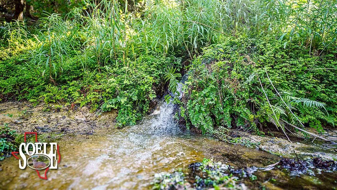 $85+ Cheap flights to Denver visual data 7