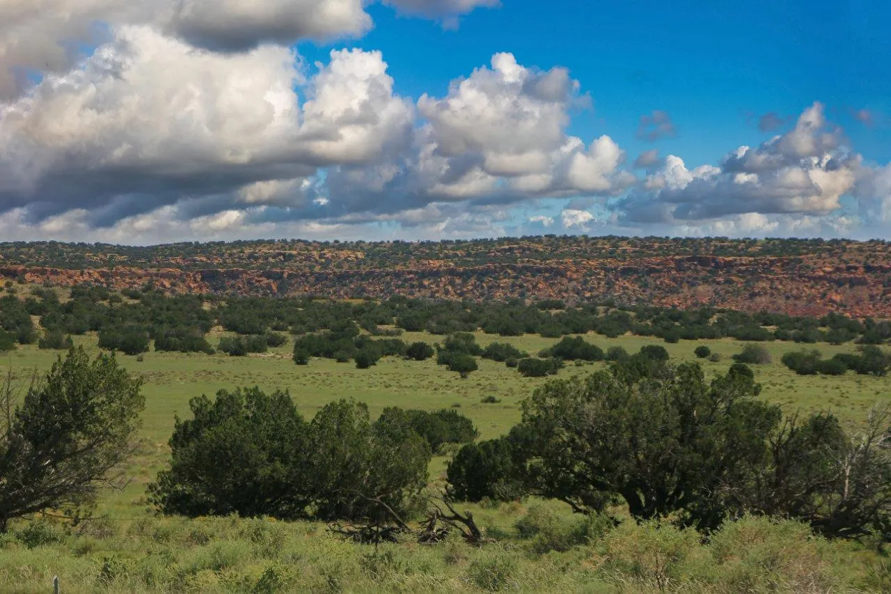 Page 4 Owner Financing Land for Sale up to 50K 5,470 Listings