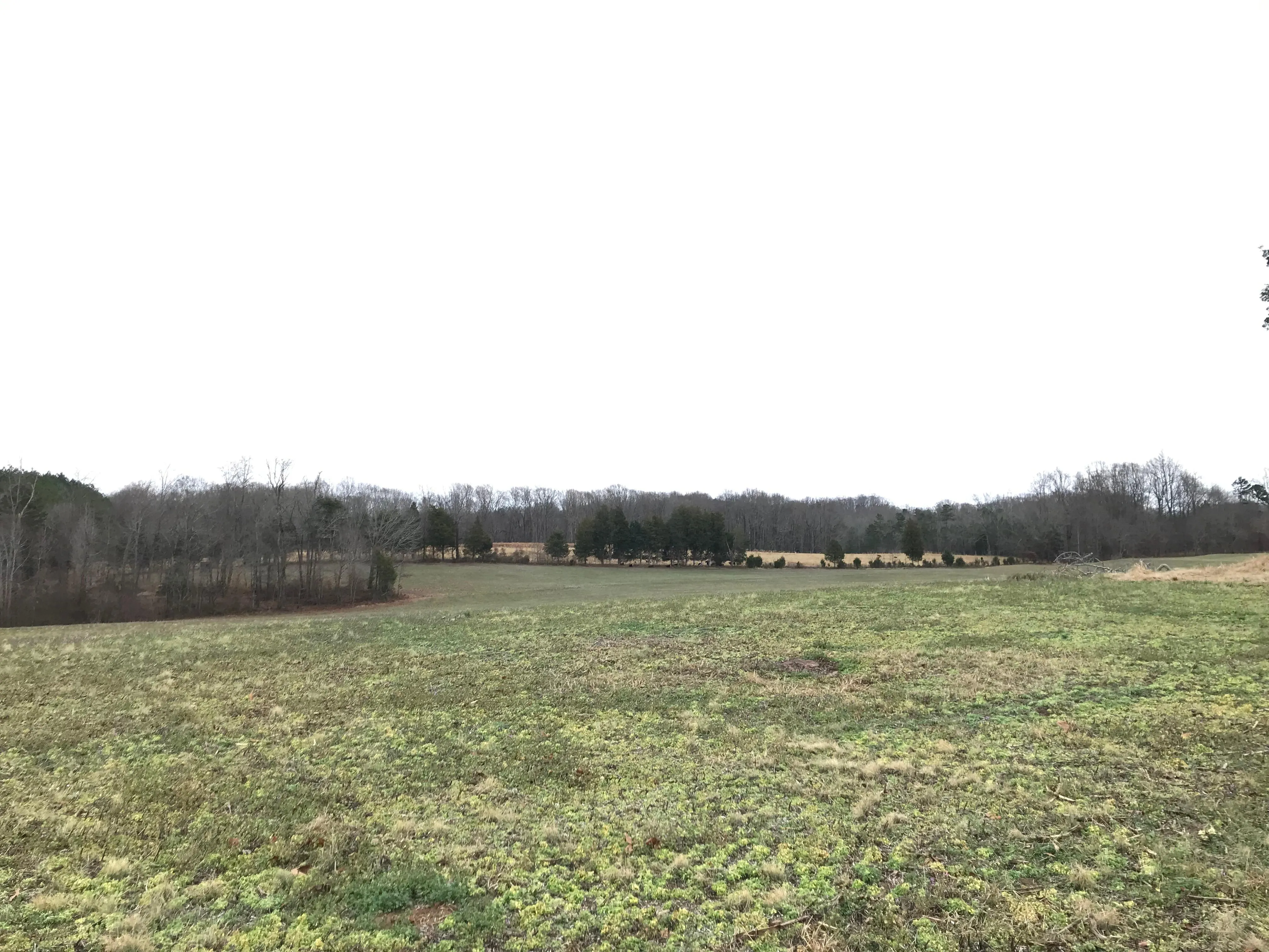 Iredell County, NC Land for Sale 773 Listings LandWatch