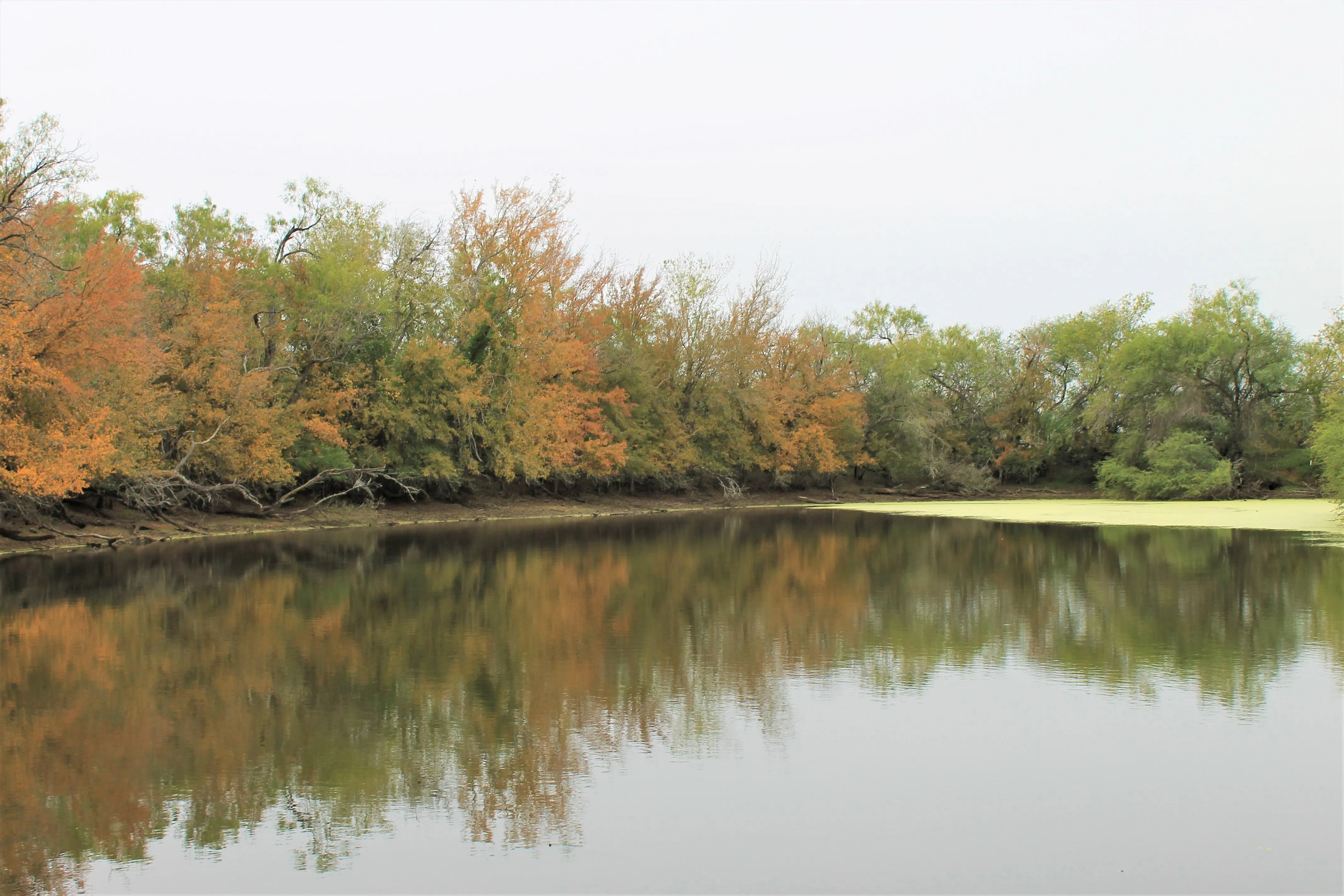 San Antonio Region, TX Owner Financing Land for Sale 160 Listings