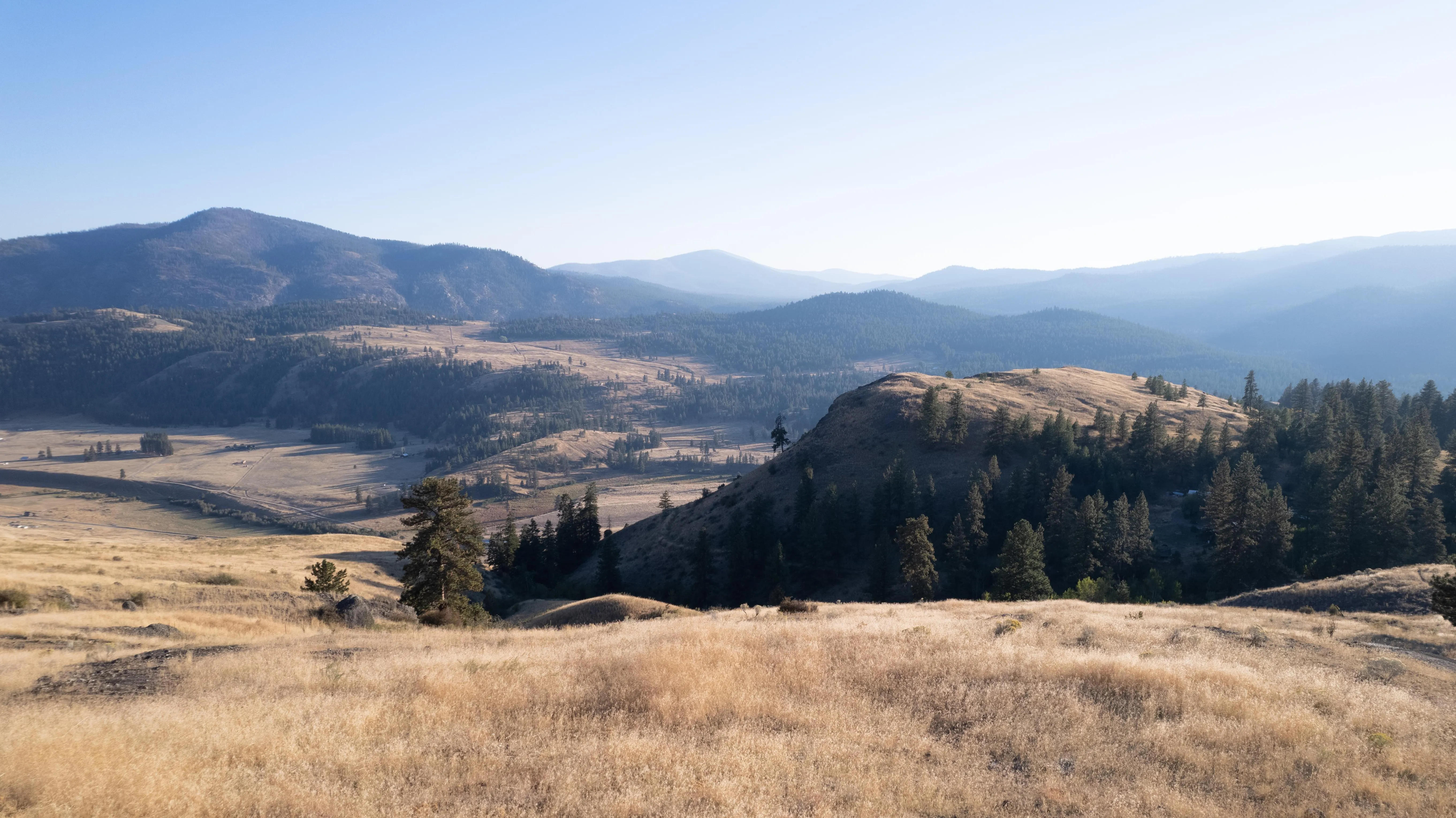 Washington Owner Financing Land for Sale 188 Listings LandWatch