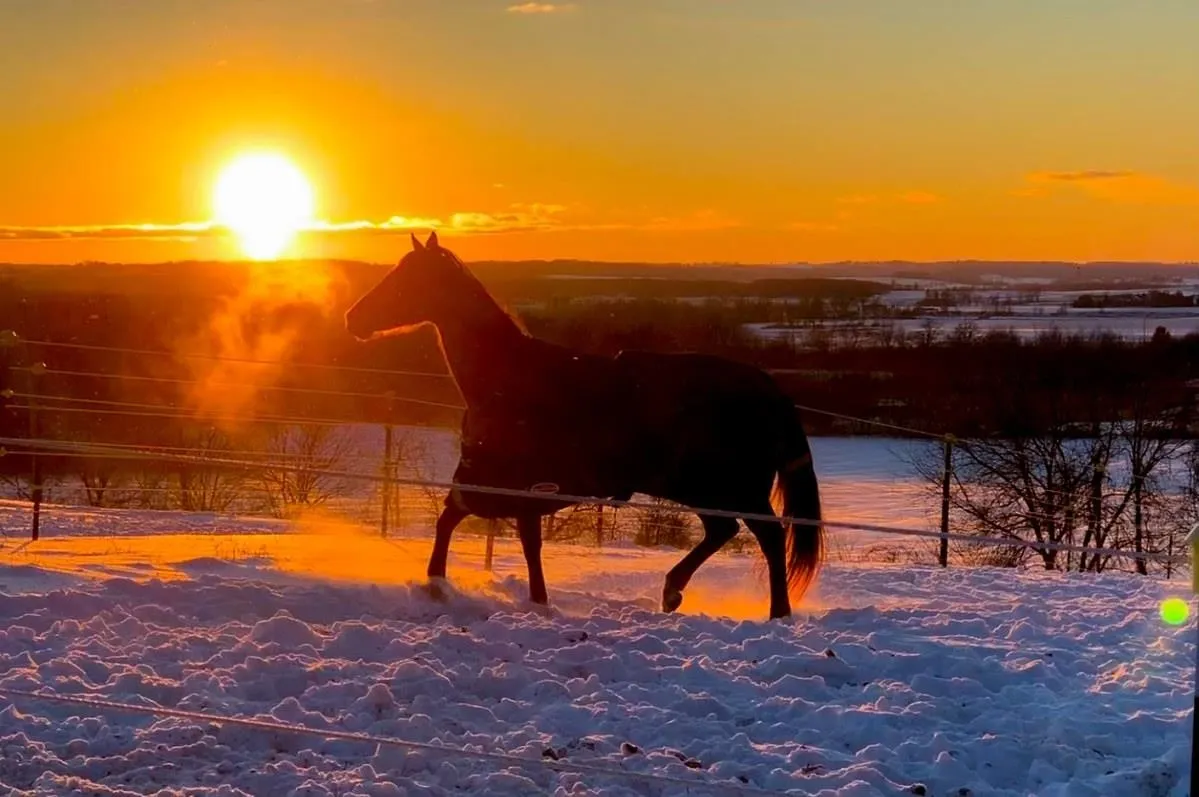 Dane County, WI Land for Sale between 11 and 50 Acres 32 Listings
