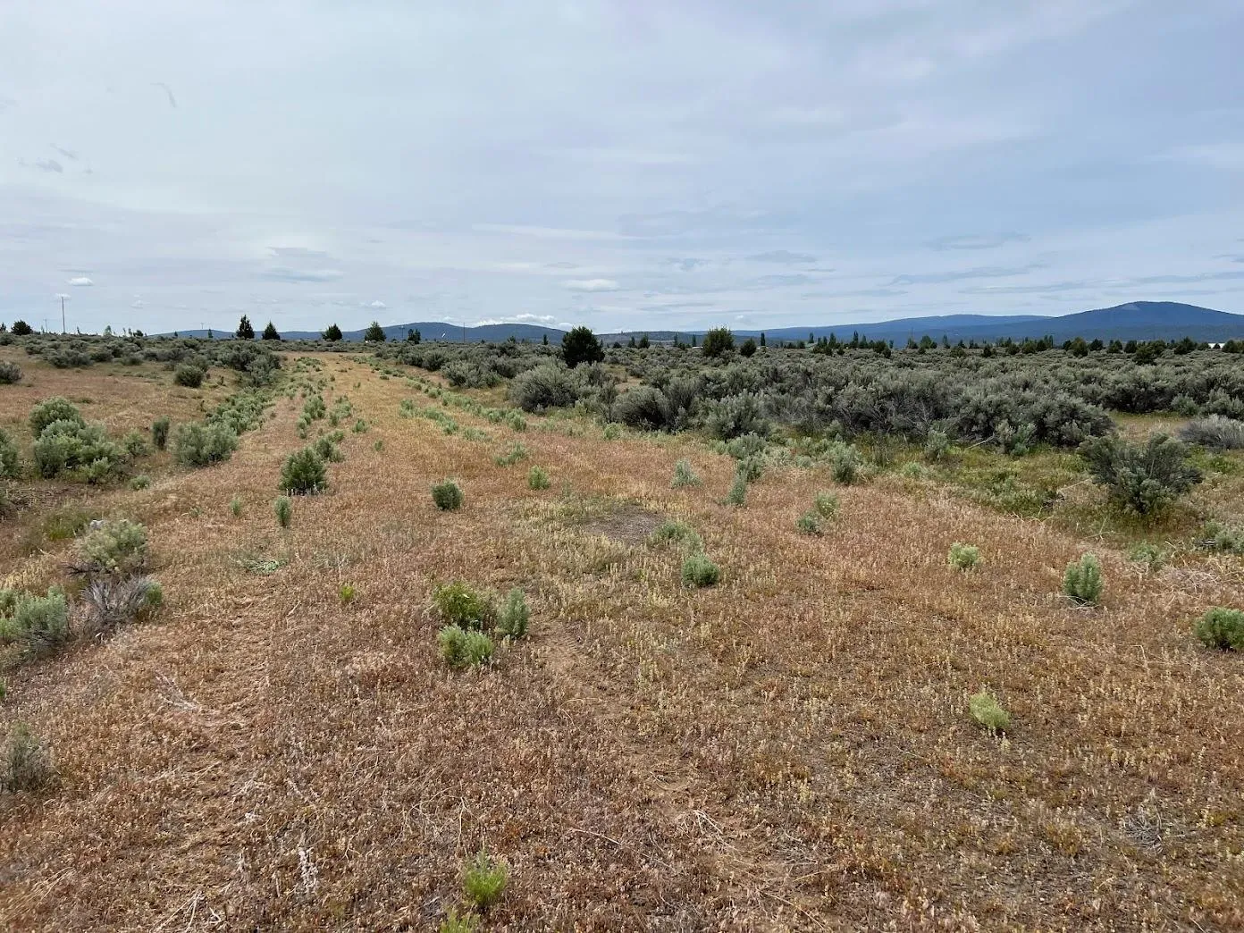 Alturas, CA Land for Sale 165 Listings LandWatch