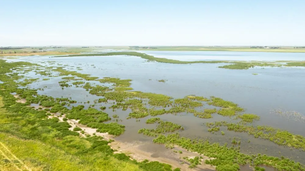 South Dakota Farms and Ranches for Sale 109 Listings LandWatch