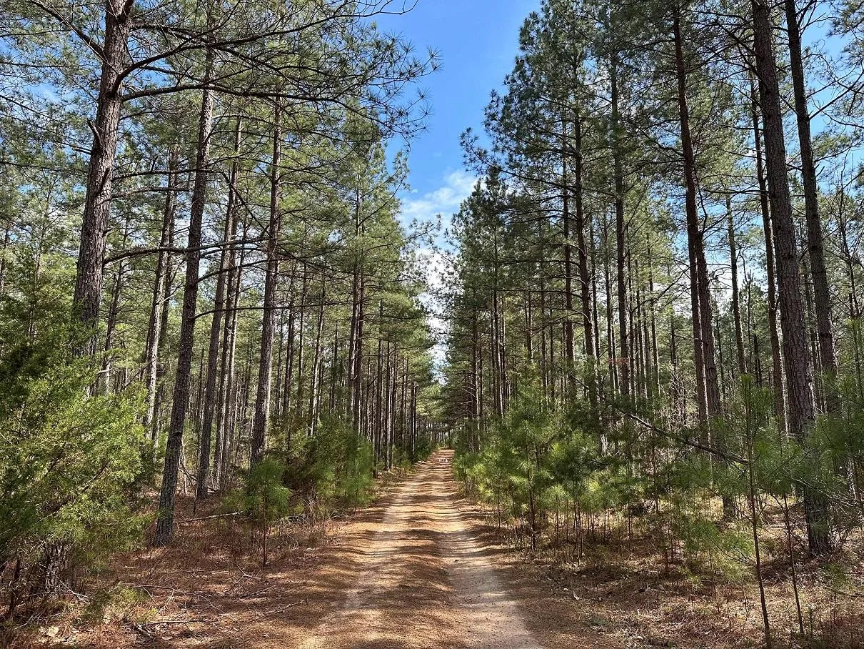 Fluvanna County, VA Land for Sale, Recently Sold Properties 156