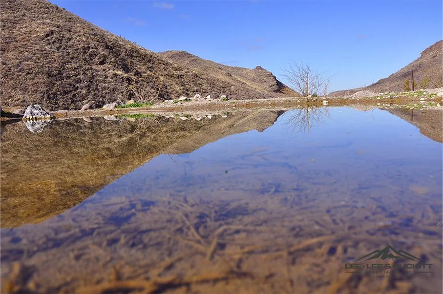 Presidio County, TX Land for Sale 114 Listings LandWatch