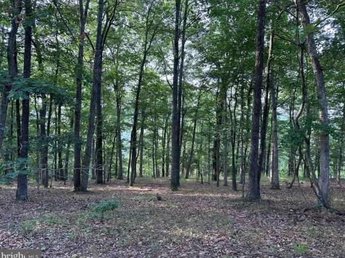 West Virginia Land for Sale up to 50K 836 Listings LandWatch