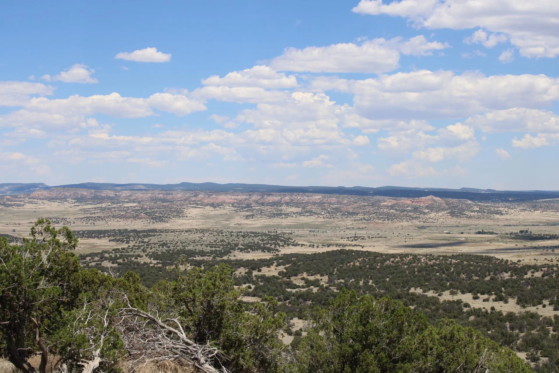 Catron County, NM Farms and Ranches for Sale 24 Listings LandWatch