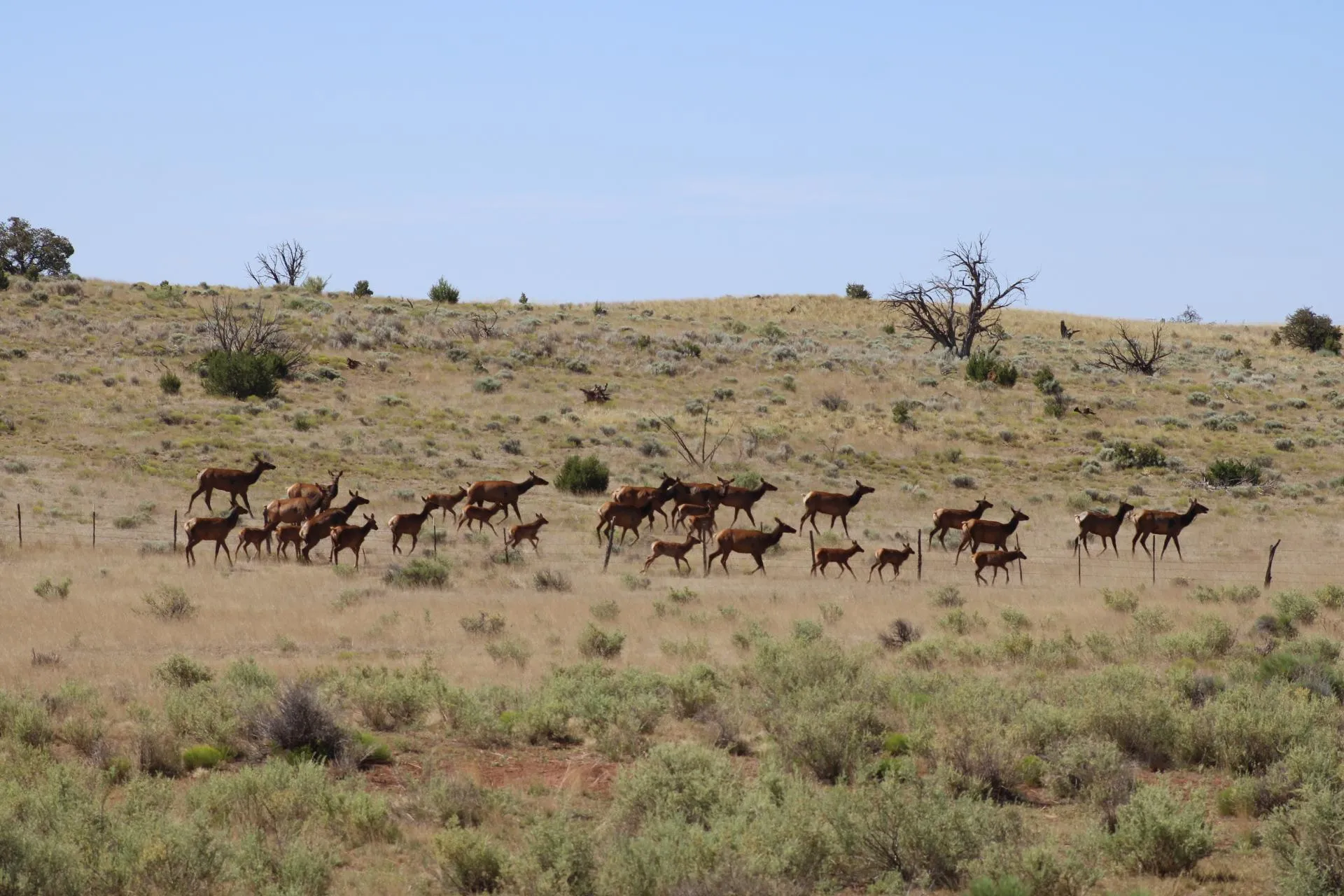 Catron County, NM Farms and Ranches for Sale 26 Listings LandWatch