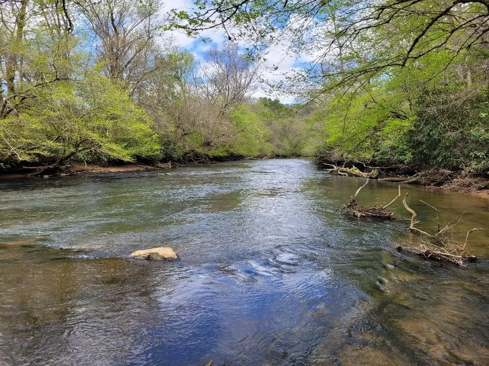 Cherokee County, NC Land for Sale 542 Listings LandWatch