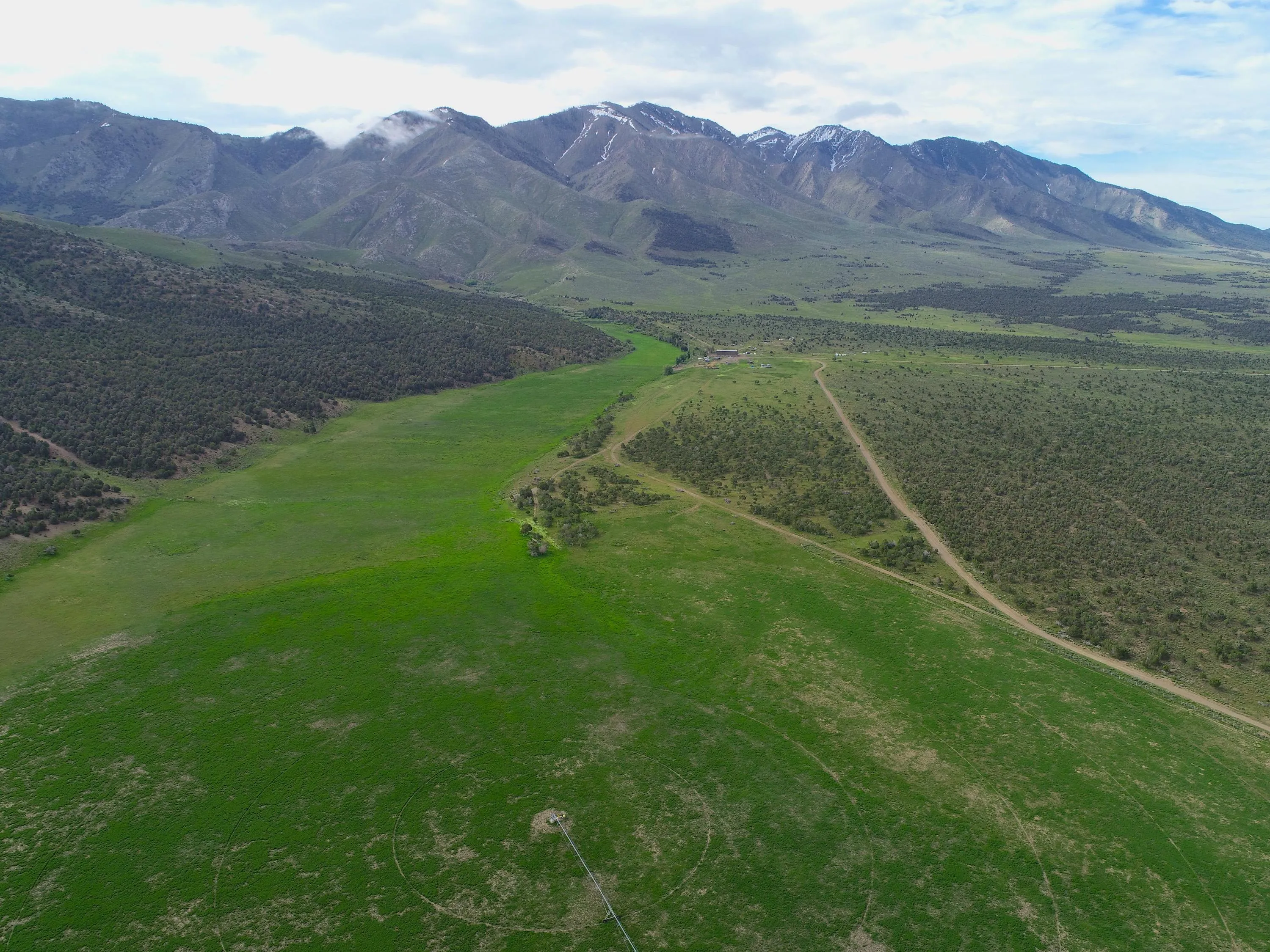 Nevada Land for Sale over 500 Acres 57 Listings LandWatch