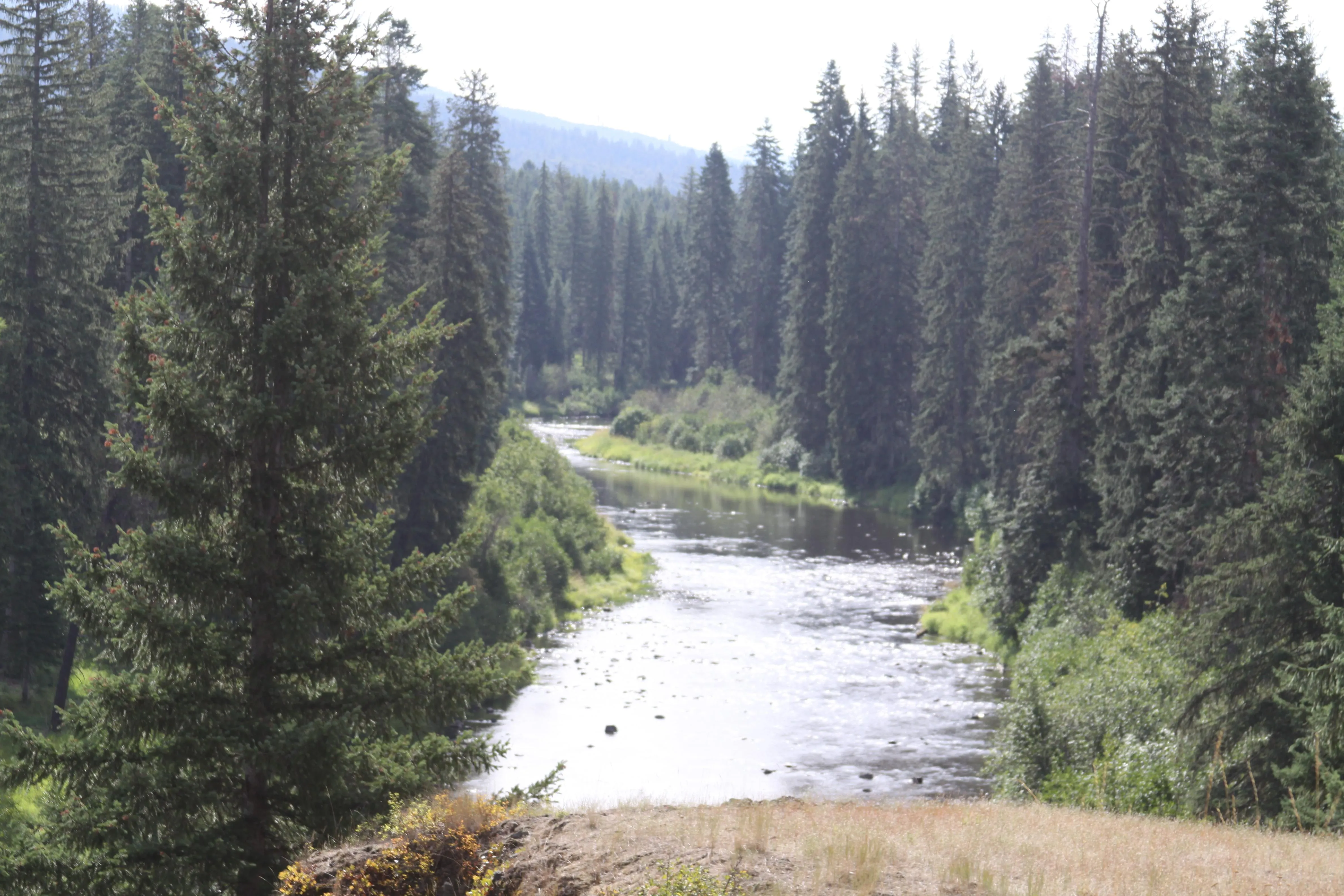 Idaho Waterfront Properties for Sale 631 Listings LandWatch