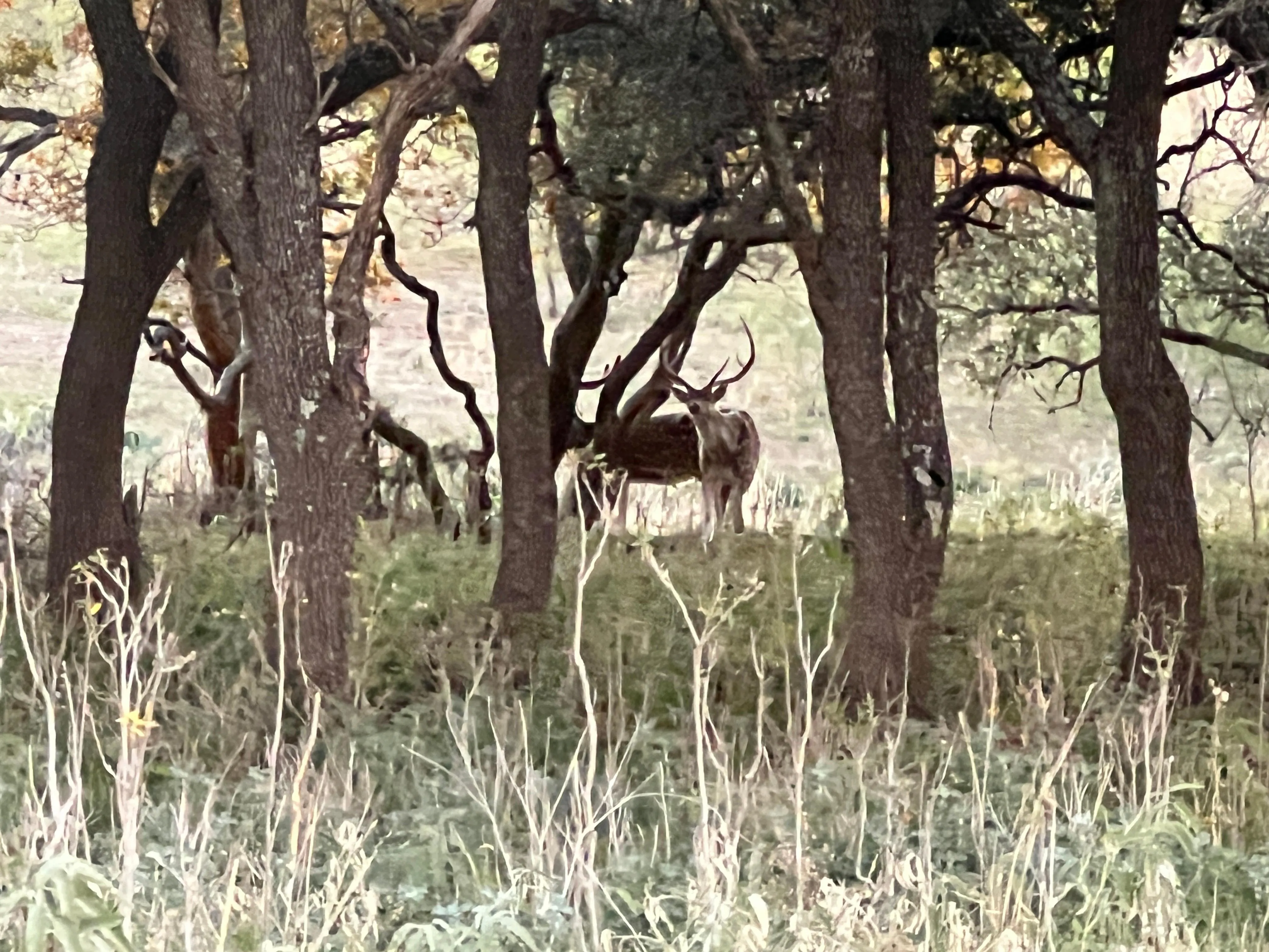 Crockett County, TX Land for Sale 44 Listings LandWatch