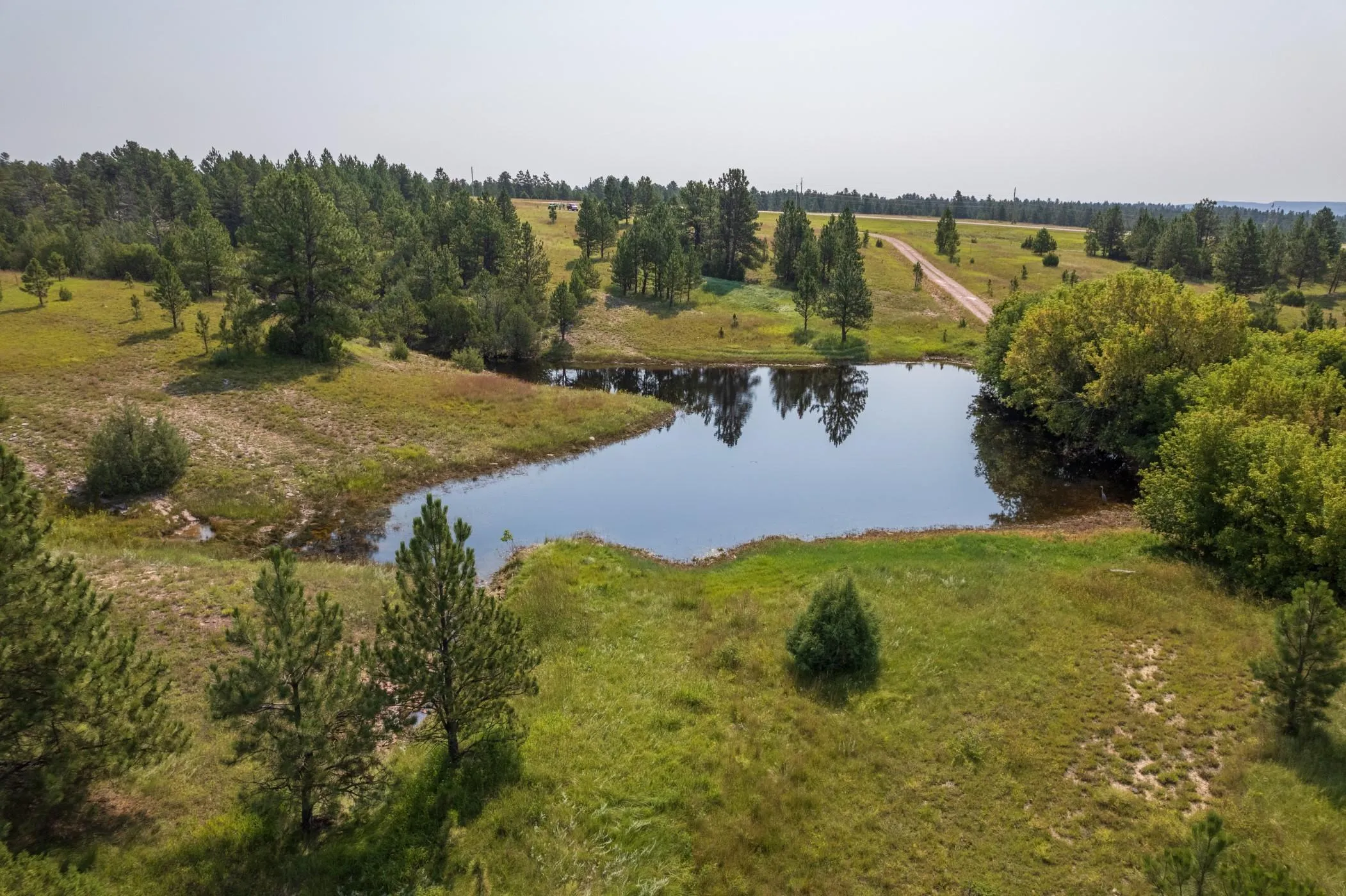 Custer County, SD Land for Sale 126 Listings LandWatch