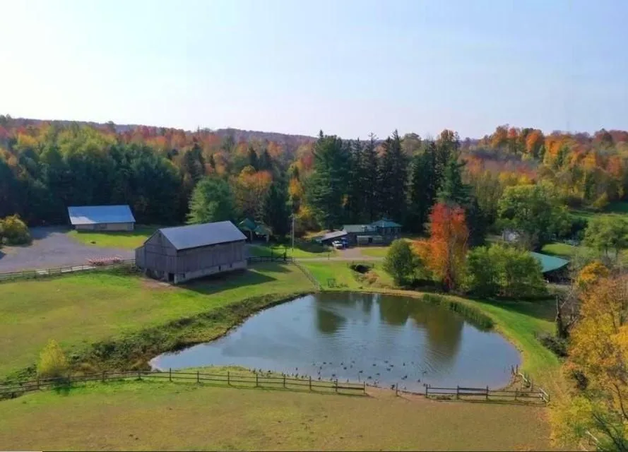 New York Farms and Ranches for Sale 317 Listings LandWatch