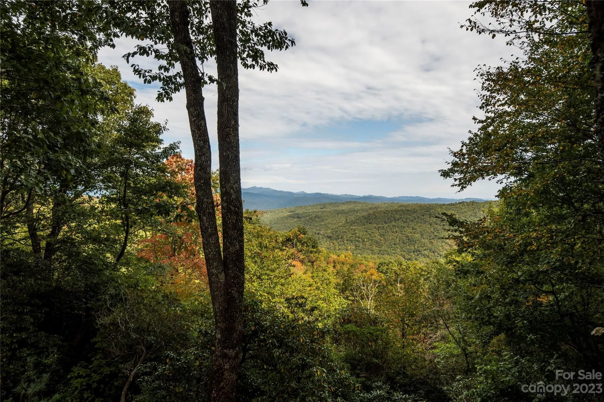 Page 2 North Carolina Land for Sale 33,451 Listings LandWatch