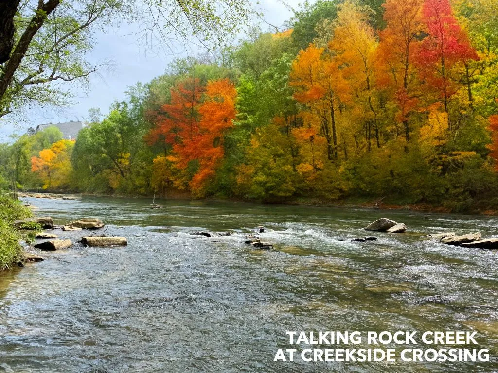 Riverfront Properties for Sale River Cabins for Sale 61 Listings LandWatch