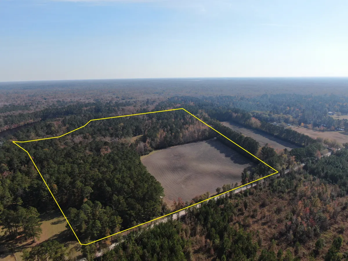 Marion County, SC Land for Sale 113 Listings LandWatch