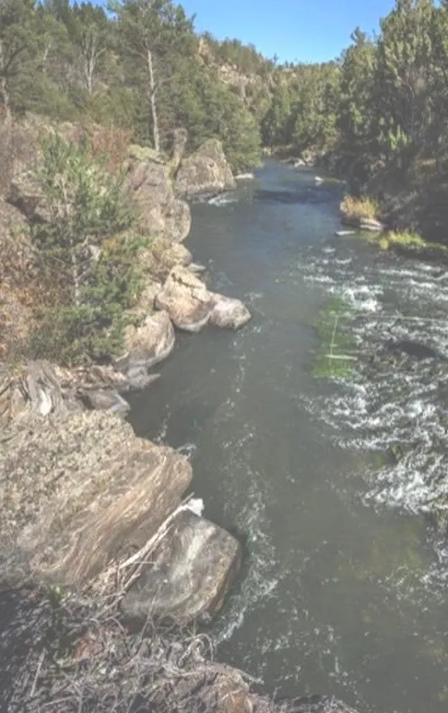 Montana Land for Sale up to 50K 7 Listings LandWatch