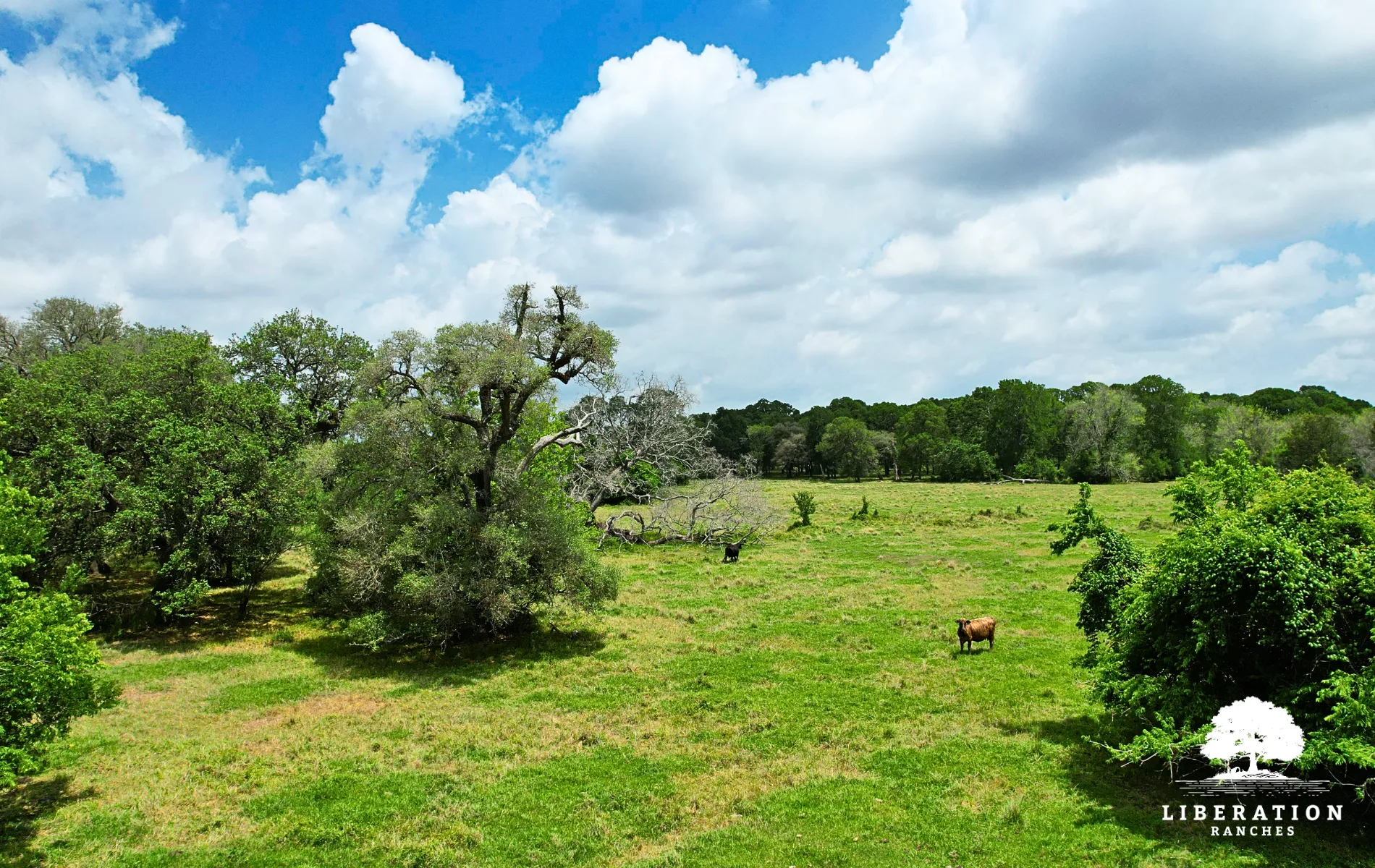 Wharton County, TX Farms and Ranches for Sale 7 Listings LandWatch