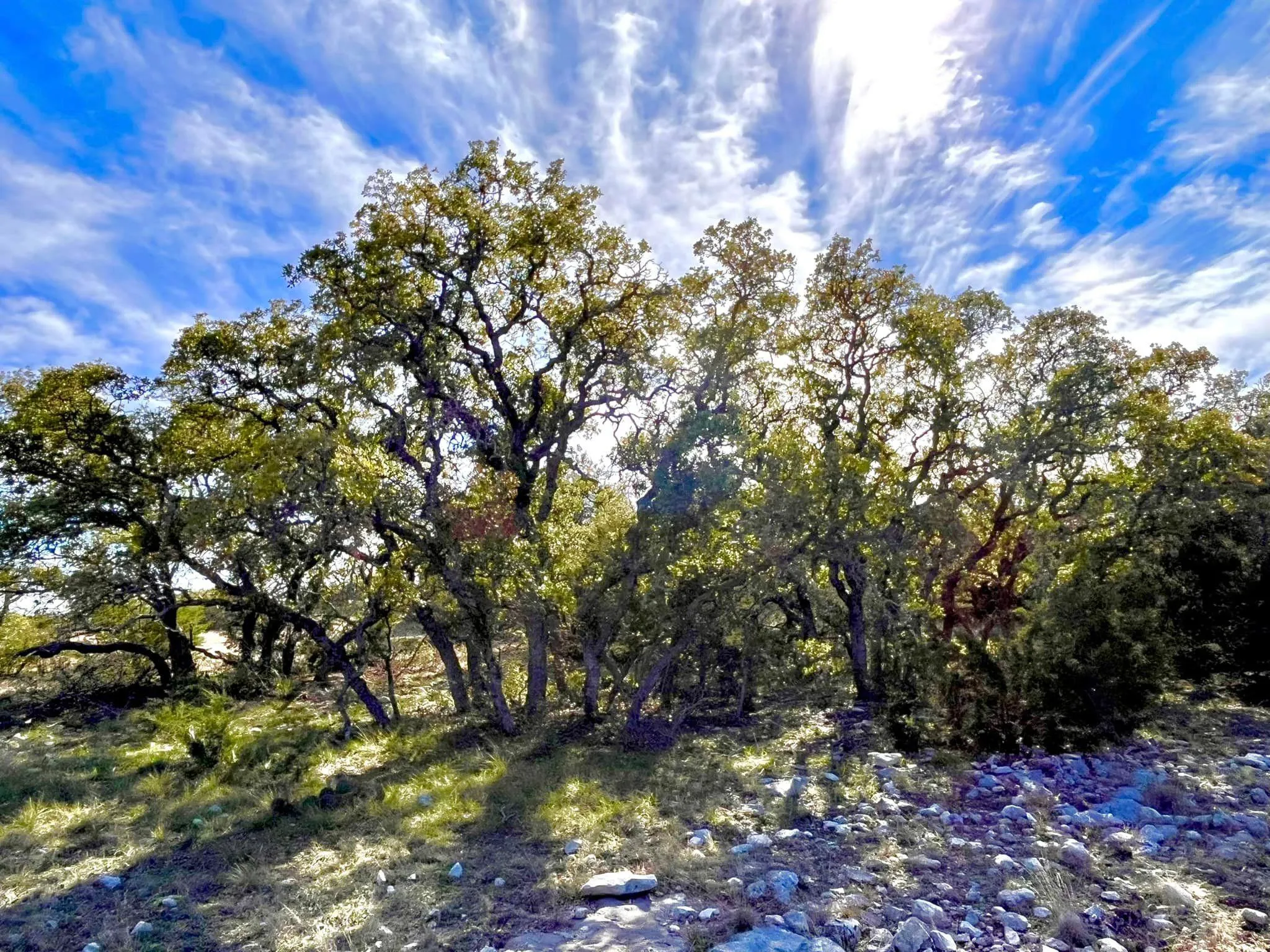 Menard County, TX Land for Sale 56 Listings LandWatch