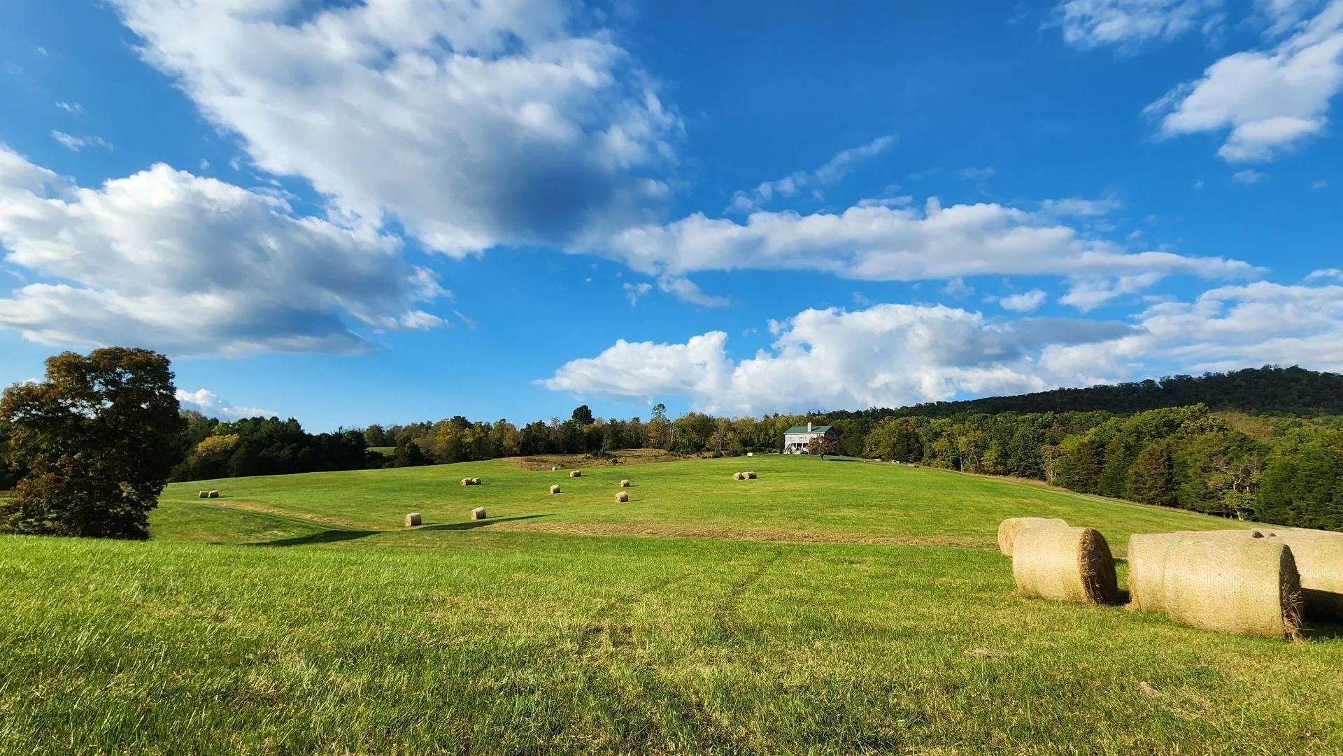 Monroe County, WV Land for Sale 45 Listings LandWatch