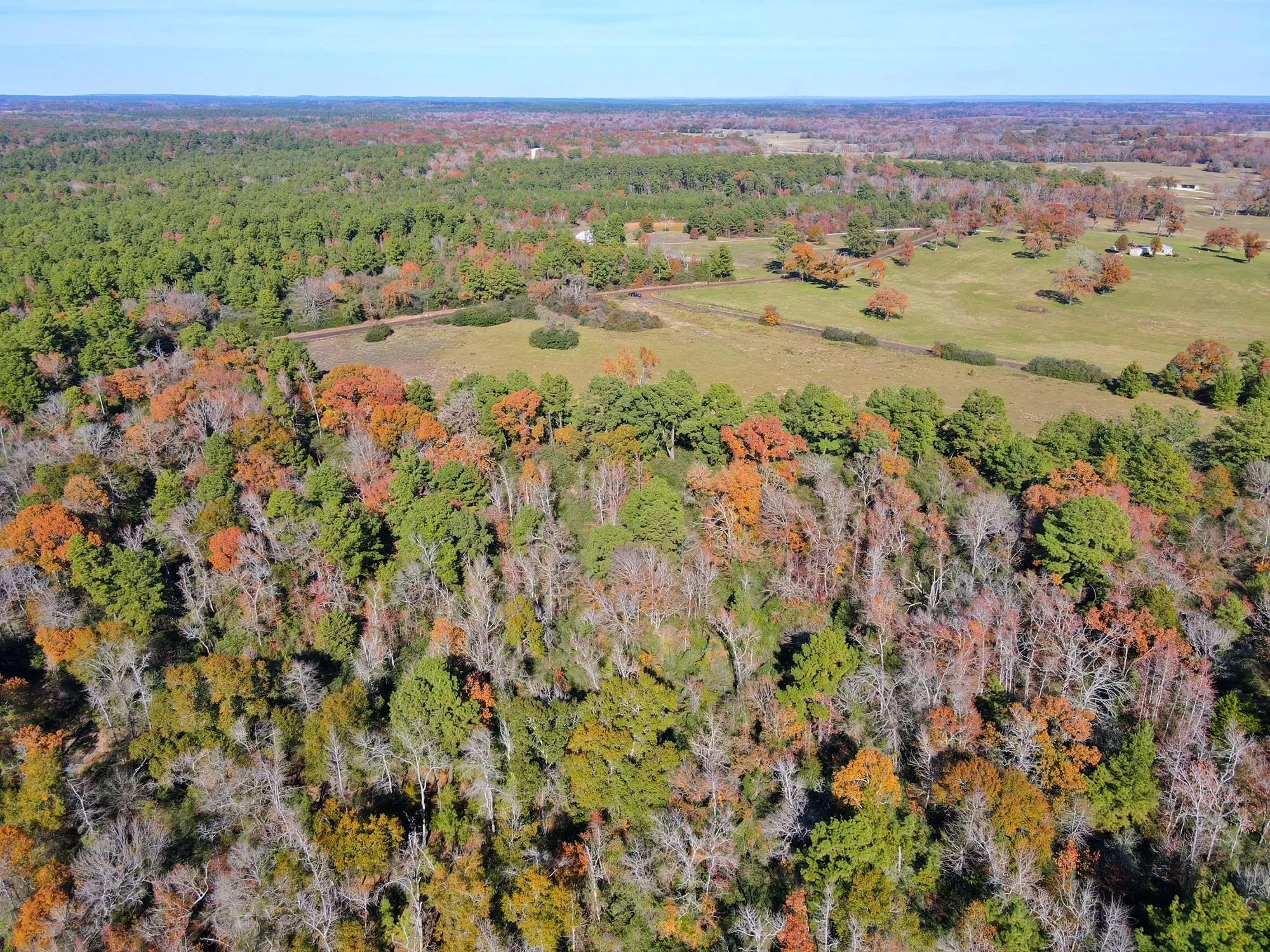 Leon County, TX Land for Sale 208 Listings LandWatch