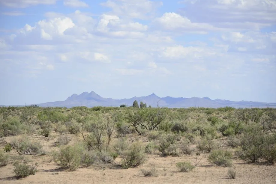 Page 2 Farms and Ranches for Sale with Owner Financing 1,170