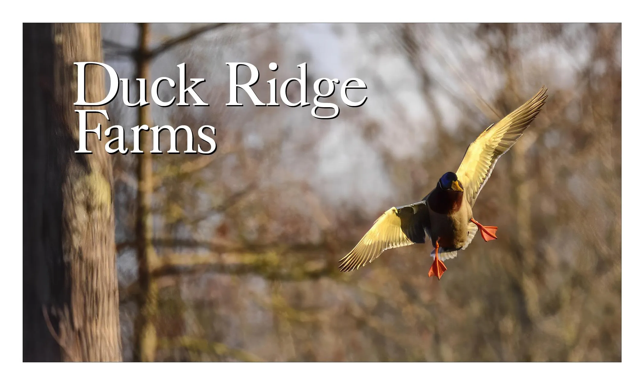 Cross County, AR Land for Sale 66 Listings LandWatch