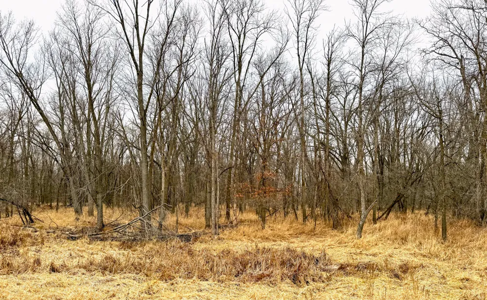 Wisconsin land for sale 10 872 listings landwatch